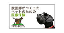 @トラベル